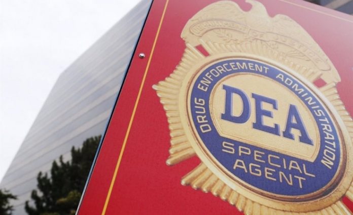 Video: Sheinbaum cuestiona intereses de la DEA para dar información errónea sobre operativo en México