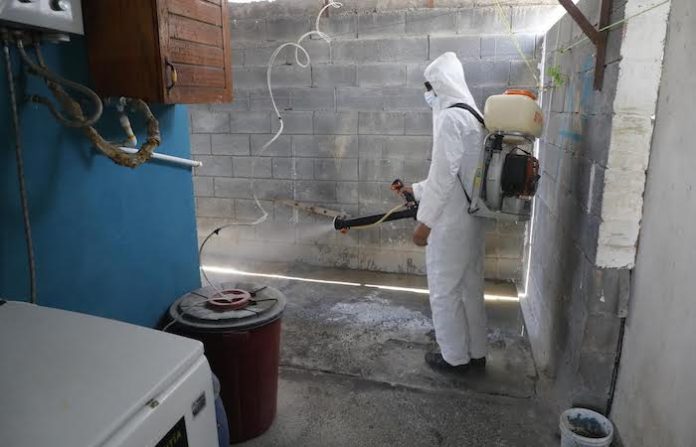 Escobedo intensifica fumigaciones para frenar la rickettsia