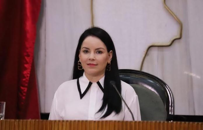 Diputada pide reubicar plantas de Ternium en Monterrey y San Nicolás