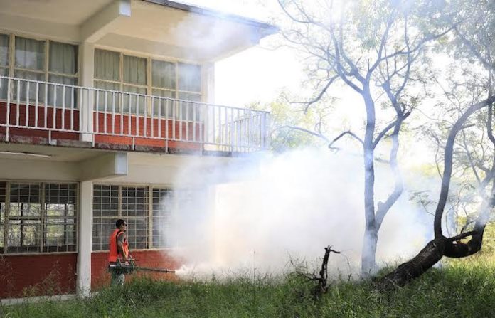 Guadalupe refuerza fumigación y deshierbe en escuelas para un regreso seguro a clases