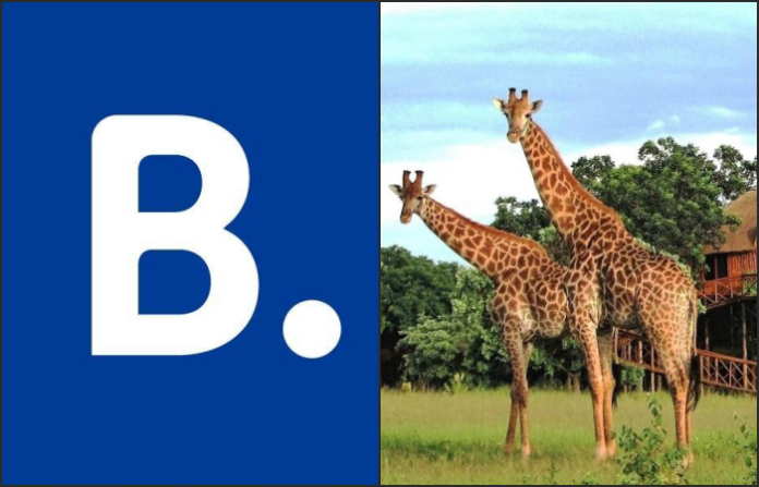 Más de 10.000 hoteles europeos se unen a la demanda judicial presentada contra Booking.com