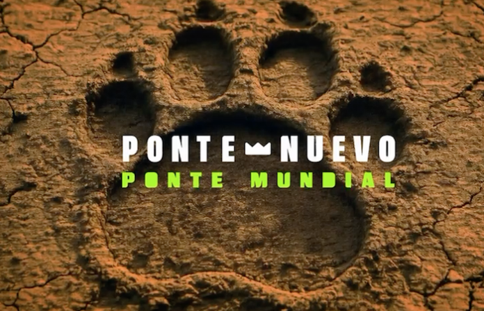 Video: Este mundial dejará huella en Nuevo León