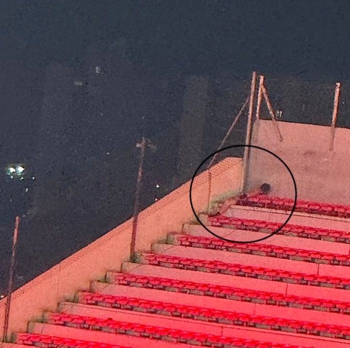 Video: “El que las hace, las paga”: Argentina y Chile repudian episodio violento en partido de la Copa Sudamericana