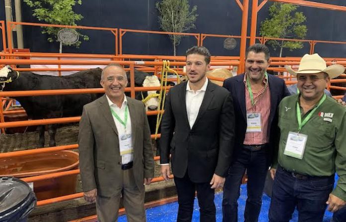 Productores de NL proponen crear un C4 para blindar la sanidad animal