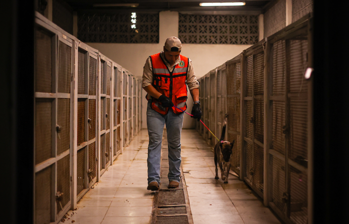 Aseguran 34 animales del Centro de Bienestar de Santa Catarina por presunto maltrato