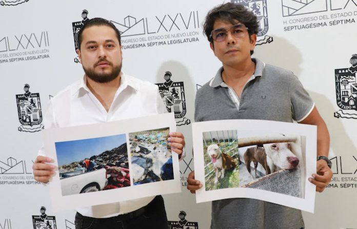 Lechuga exige cárcel inmediata para Jesús Nava: lo acusa de ‘mata perros’ y represor”