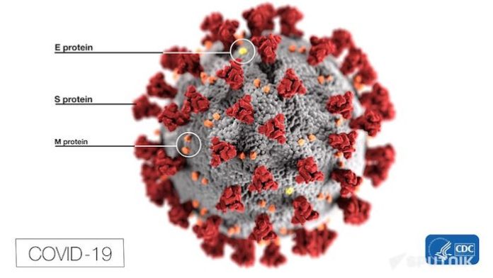 Investigadores rusos descubren nuevas propiedades de las algas rojas contra el covid-19