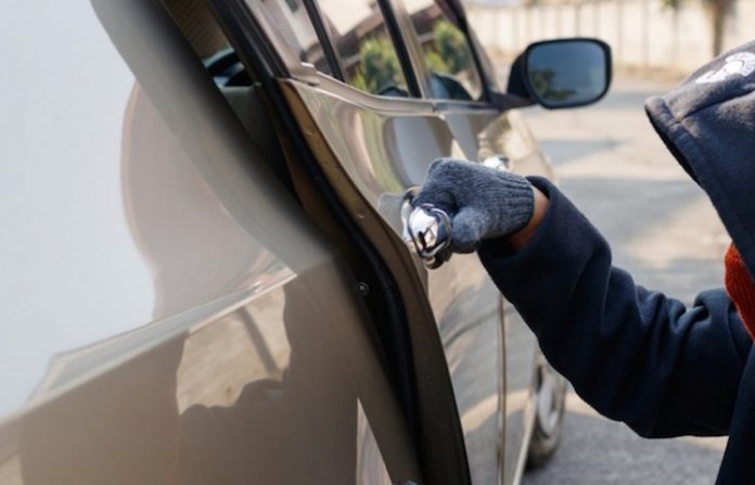 Perla Villarreal impulsa endurecimiento de penas por robo de autopartes