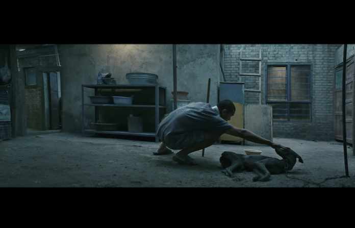 “Black Dog” estrena en premier en la Cineteca Nuevo León