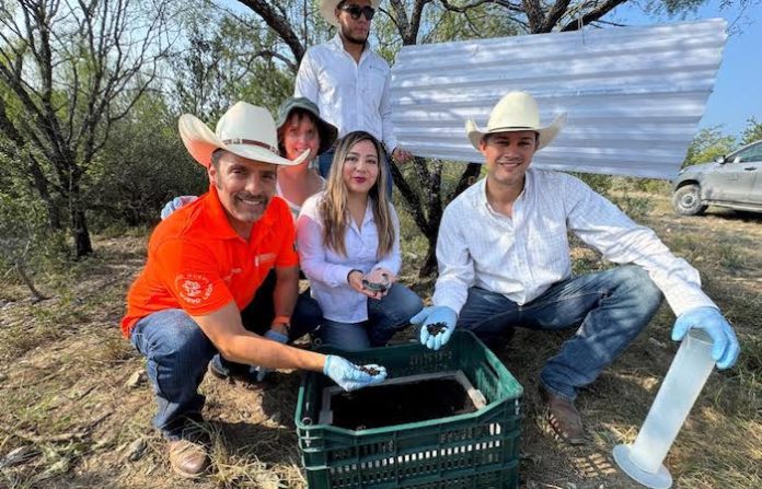 Refuerzan vigilancia ganadera en NL tras hallazgo de larva de gusano barrenador