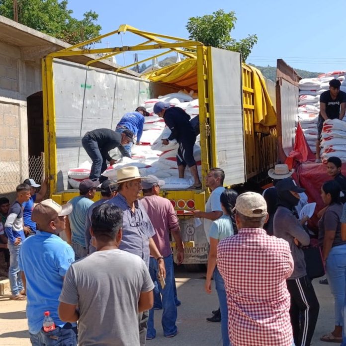 Gobierno de México prohíbe el uso de 35 plaguicidas de alto riesgo