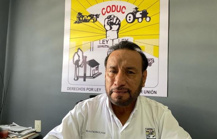 Campesinos exigen frenar contrabando de azúcar y replantear política agropecuaria