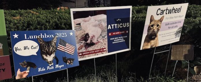 Candidatos con bigotes: celebran elecciones animales en un ayuntamiento en EU