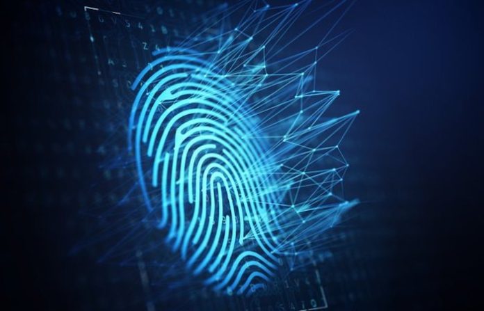 Autoridades mexicanas declaran desierta la licitación sobre servicios en la nube para CURP biométrica