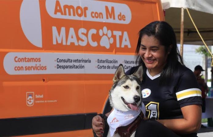 Guadalupe impulsa consulta ciudadana para nuevo reglamento de protección animal