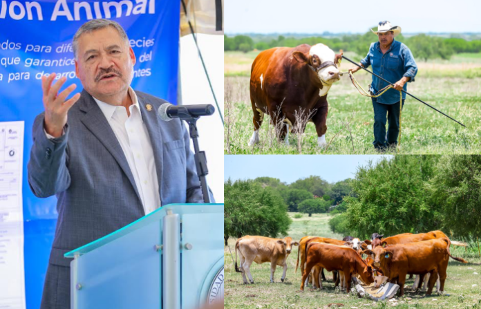 UANL impulsa la innovación agropecuaria con nuevo Centro de Nutrición Animal en Linares