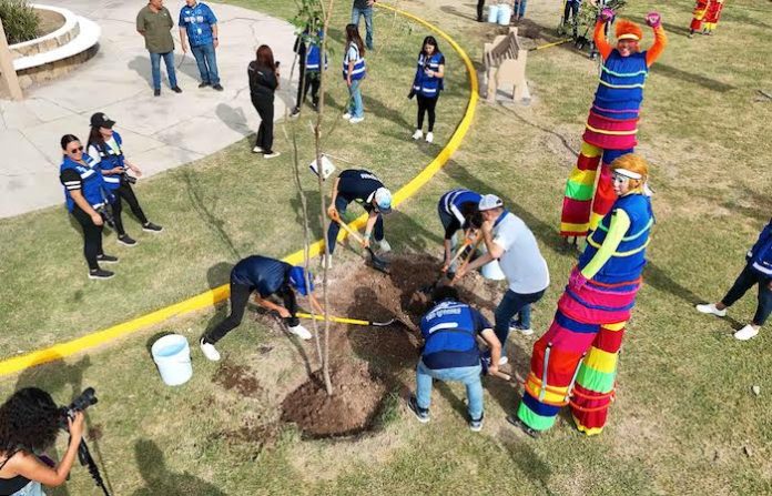 San Nicolás arranca cuarta temporada de “Arboleando” para plantar 6 mil árboles