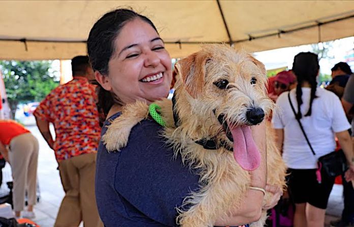 Guadalupe impulsa tenencia responsable de mascotas con jornada de vacunación