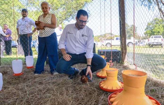 Santiago impulsa la economía rural con programa piloto de producción de huevo orgánico