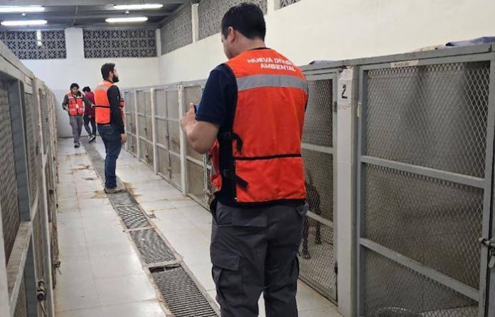 Sigue la opacidad en Santa Catarina: Jesús Nava reserva por cinco años información del Centro de Bienestar Animal