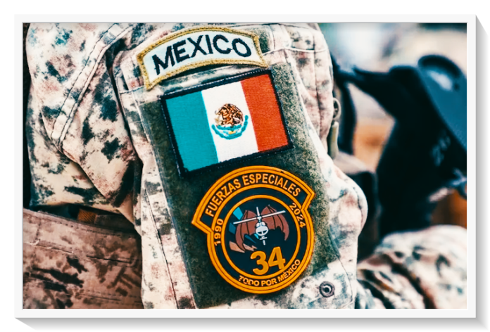 Gobierno de México despliega a fuerzas de élite en municipios conflictivos de Michoacán