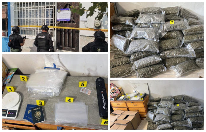 Cateo en el Centro de Monterrey deja decomiso de casi 90 kilos de marihuan