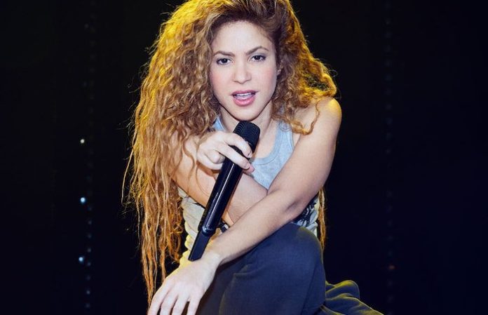 Nombran una nueva tortuga fósil en honor a Shakira