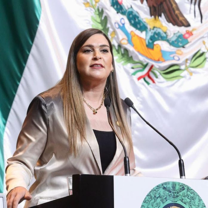 Diputadas del PRI prenden las alarmas por el derrumbe del sistema de salud