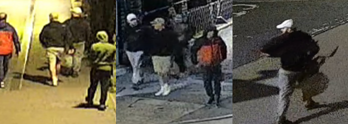 Roban más de 600 artefactos del Museo de Bristol en el Reino Unido