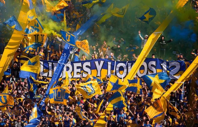 Tigres va por la gloria al infierno