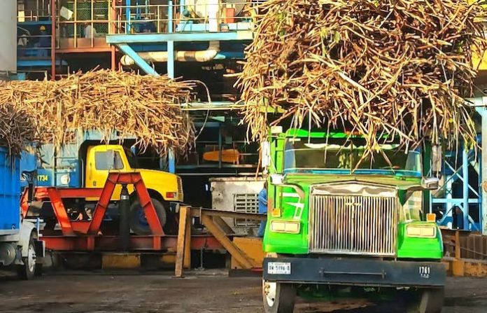 La agricultura impulsa la economía mexicana en octubre