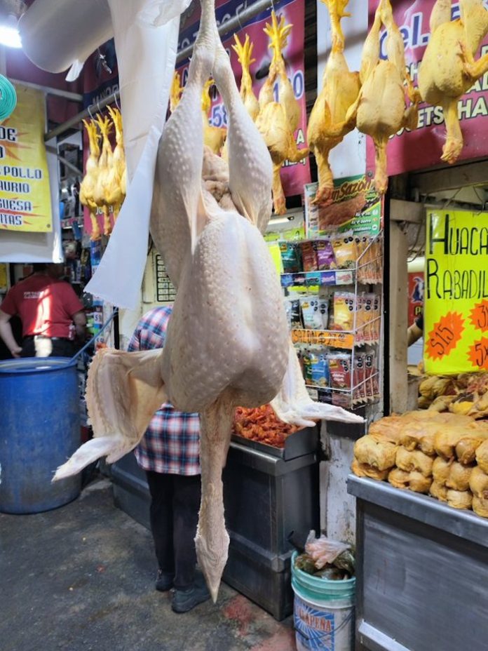 Malas noticias para las familias mexicanas: advierten que las cenas de Navidad y Año Nuevo se encarecieron un 17%