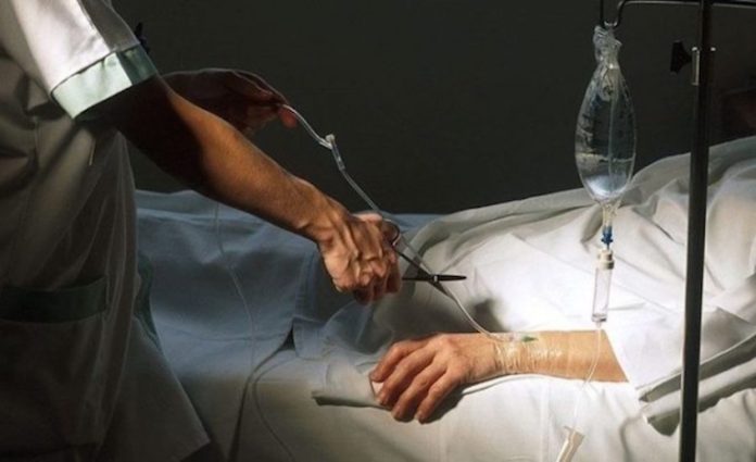 Busca Morena cambiar la ley para autorizar muerte asistida con protocolos oficiales