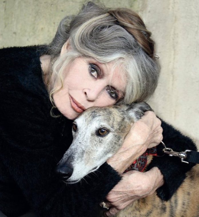 Video: Muere a los 91 años Brigitte Bardot, una de las actrices icónicas del cine francés