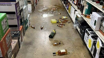 Un mapache causa un alboroto en una licorería de EU: se emborracha y termina dormido en el baño