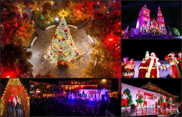 Santiago enciende la Navidad y convierte su plaza en un bosque encantado