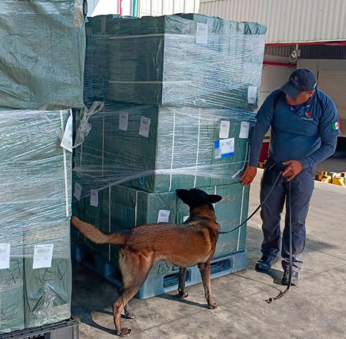 México confisca 19 toneladas de tabaco ilegal con destino a Japón