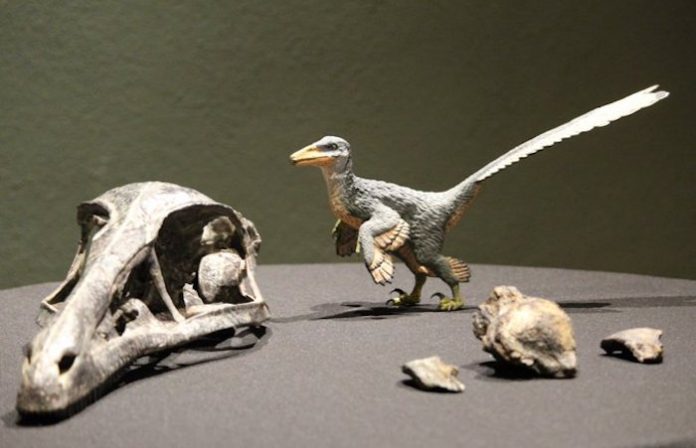 Descubren a un nuevo dinosaurio en México