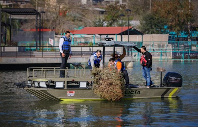 Santiago impulsa microhábitats para proteger la vida acuática de la Presa La Boca