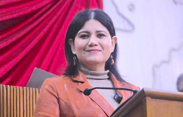 Agilizar la justicia para la niñez: plantean reforma a la patria potestad en Nuevo León