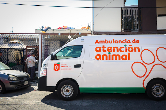 Protección animal, prioridad ante el frío extremo en la entidad