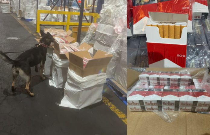 México decomisa 88 toneladas de cigarrillos ilegales