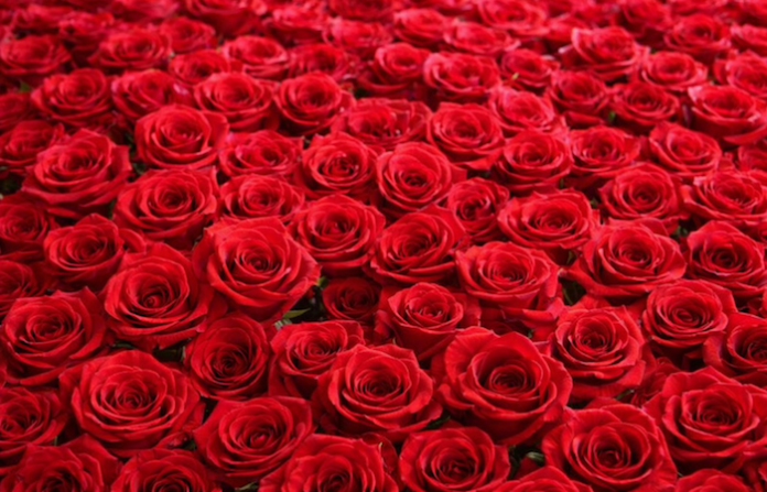 Seguro de amor rinde una ganancia de más del 5.000% a una joven china