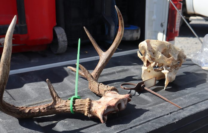 Refuerzan vigilancia en Lampazos por cierre de temporada de caza