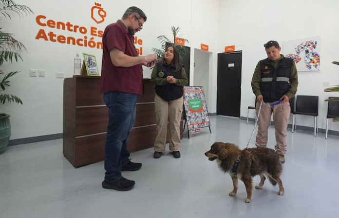 Investigan caso de maltrato animal en Zuazua; “no quedará impune”, advierte Medio Ambiente