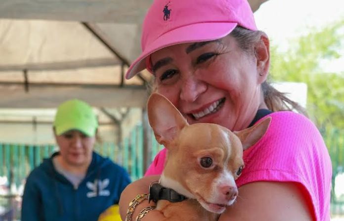 Monterrey impulsa cuidado responsable con jornada gratuita de atención veterinaria