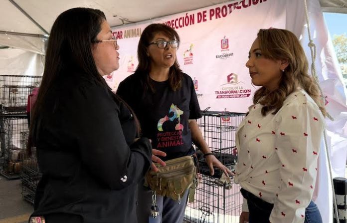 Bienestar animal avanza en Escobedo con jornadas de esterilización y cultura vial responsable