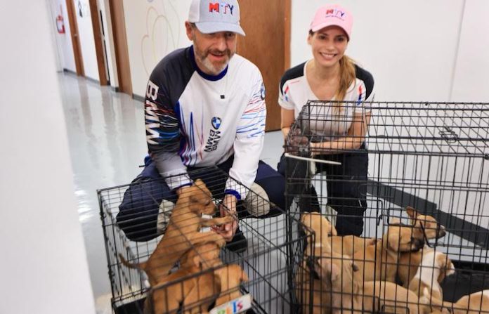 “Chihuatón” logra adopción total: los 50 perritos rescatados ya tienen nuevo hogar en Monterrey