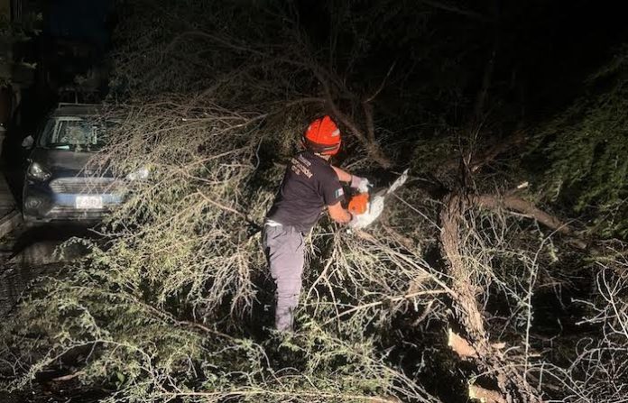 Frente Frío 42 azota Nuevo León y deja más de 60 reportes de emergencia en Guadalupe