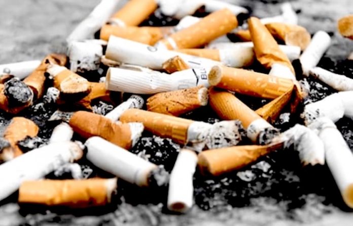 Colillas en la mira: Congreso de Nuevo León aprueba reforma para frenar su impacto ambiental